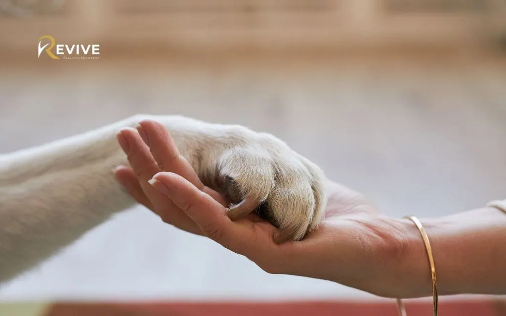 Evidence-Based Approaches to Pet Bereavement Counseling