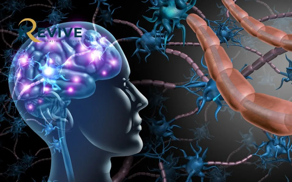 How Does Childhood Trauma Affect the Brain in Adulthood?