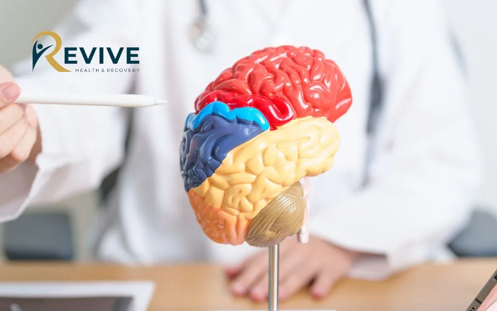 Innovative Approaches to Post-Traumatic Stress Disorder Management
