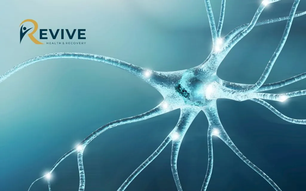 What Are Dissociative Disorders?