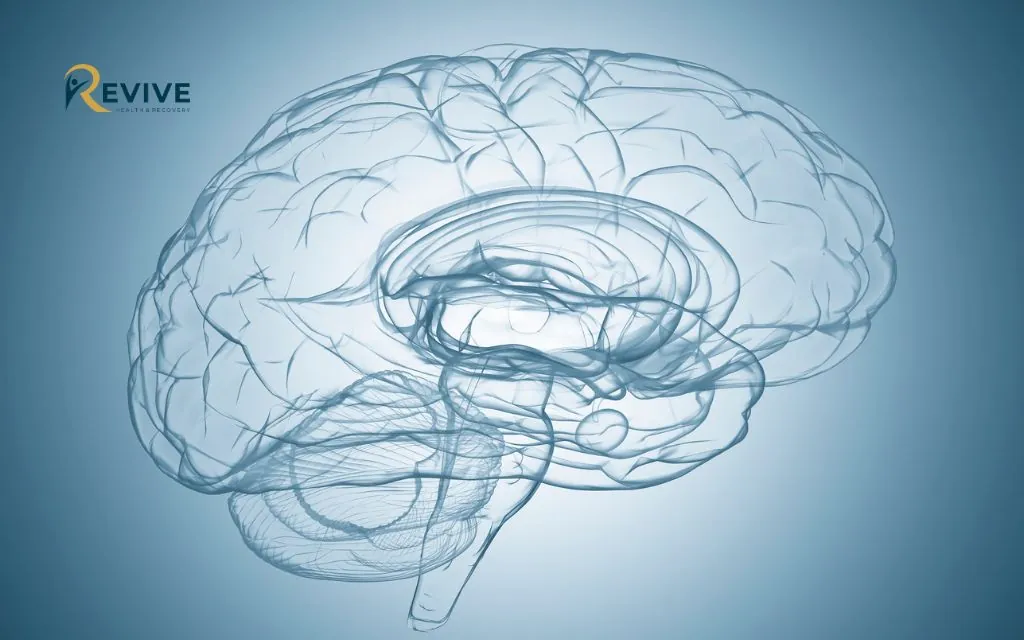 TMS for Bipolar Depression: Discover 3 Reasons It’s Change Live Denver