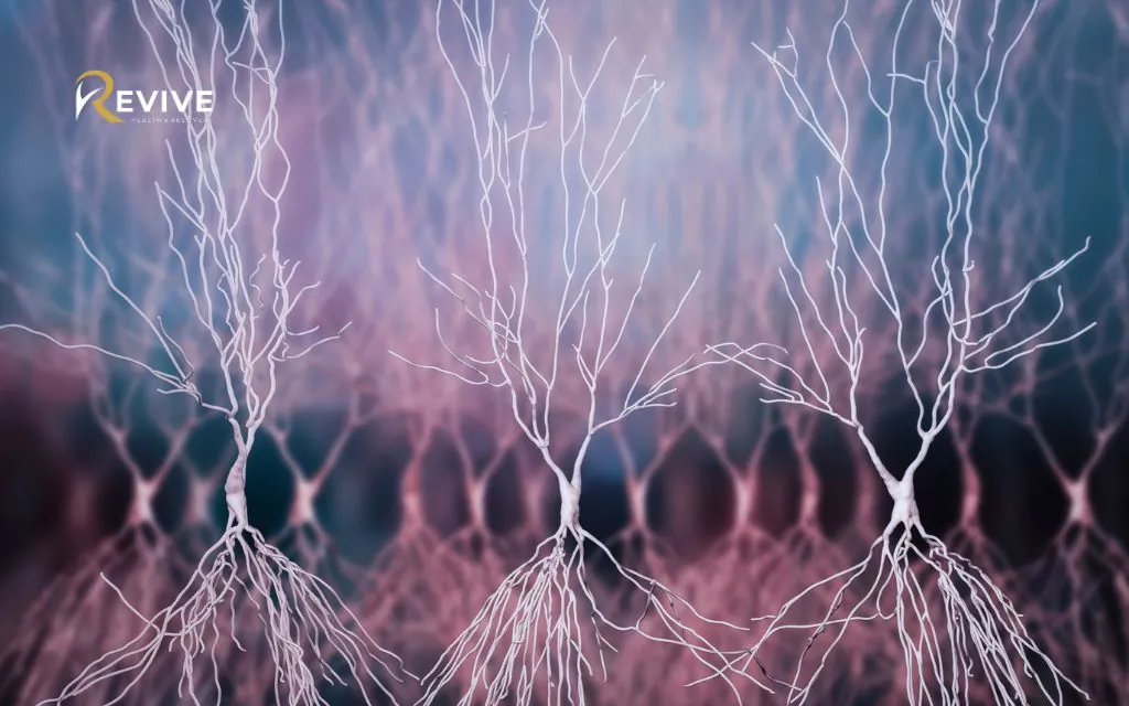 TMS for Bipolar Depression: Exploring TMS Therapy for Bipolar Depression