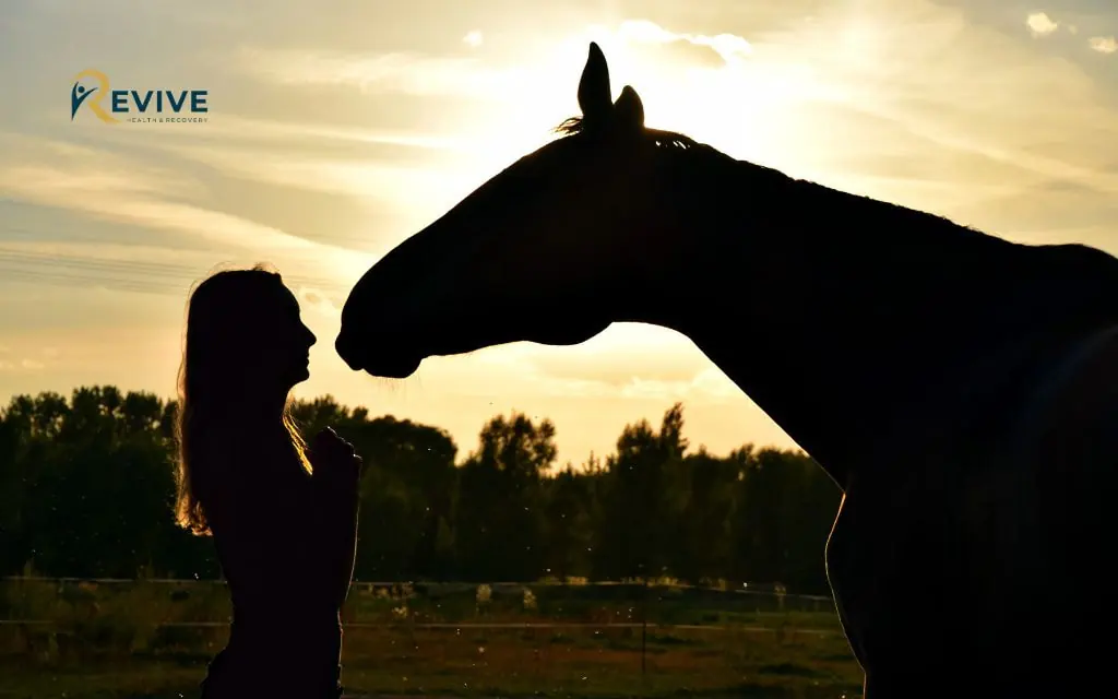 When Equine Therapy May Not Be Enough (and What to Do Next)