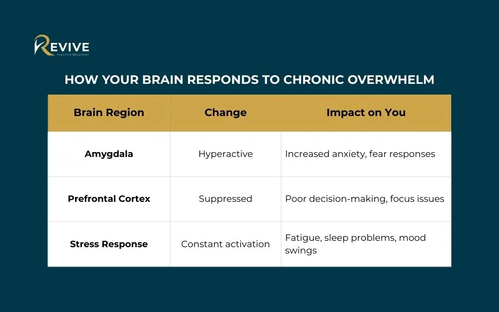 The science behind feeling overwhelmed all the time