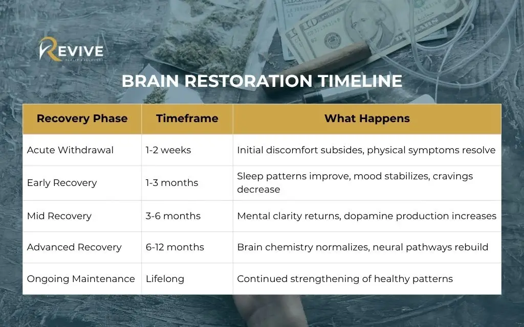 Understanding the neuroscience behind cocaine dependence:  Brain Restoration Timeline